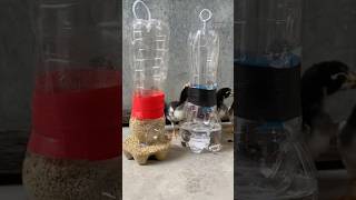 Every Farmers should know this diy short ideas recycle bottle [upl. by Hoem]