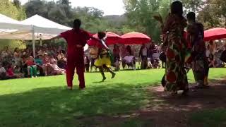 LIVE Performance  African Drummers and Dancers [upl. by Lamiv572]