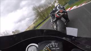 Cadwell trackday 250 Decorite Rotax [upl. by Owades]