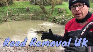 Reed Removal UK  How to remove Bulrush or Reed mace [upl. by Gareth]