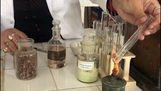 ❤️TEST OF NITRATE ION❤️ [upl. by Nileuqay]