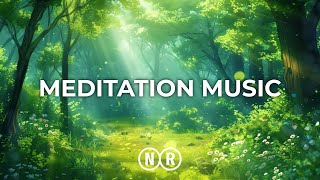 NERVE RESTORATION MUSIC 🌱 restoring balance and focus for optimal performance inspire creativity 3 [upl. by Caundra819]