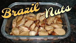 Brazil Nuts  Dry Fruit House Brazil Nuts [upl. by Lorain273]