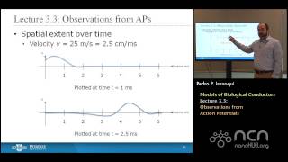 nanoHUBU Bioelectricity L33 Biological Conductors  Observations from Action Potentials [upl. by Rosene]