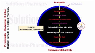 Topic 34 Antitubercular Drug  Pyrazinamide Mechanism of Action  Pyrazinamide Mechanism of Action [upl. by Tad]