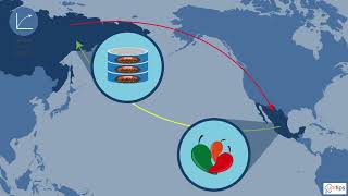 10Geografía Actividades Económicas de México [upl. by Ahsuatal]