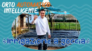 Orto automatico intelligente impianto di irrigazione orto a goccia fai da te Con ala gocciolante [upl. by Uriia]