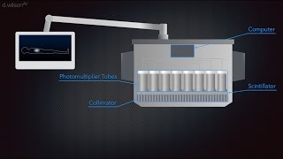 Gamma Camera Animation [upl. by Hedda]