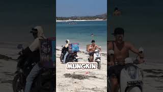 Kegiatan yang Dilakukan Filip Salac Setelah Sampai di Lombok shorts [upl. by Aikemahs]