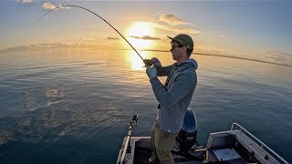 Moreton Bay  Shallow Reef Fishing with BFS Gear [upl. by Stearns]