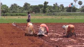 Farms  Vanakkam Thainadu  Ep 247 Part 2  IBC Tamil TV [upl. by Lindsay]