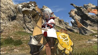 FFXIV How to Promote Sergeant First Class To Chief Sergeant  Grand Company Rank [upl. by Oriel87]