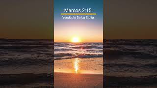 Marcos 215 Versículo De La Biblia [upl. by Weintrob494]