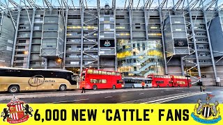 You’ll Be SHOCKED At The REAL Story Of Newcastle Fan Bus Escort History CAPTURED [upl. by Nehcterg151]