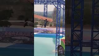 Competition waterpark trampoline fun viralvideo funny triding [upl. by Atteuqihc892]