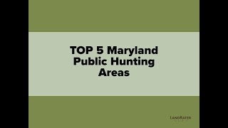 Top 5 Maryland Public Hunting Areas [upl. by Liu127]