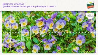 Facilprintemps®  Jardiniers amateurs  quelles plantes choisir pour le printemps à venir [upl. by Mide]