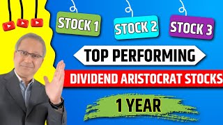 📊 Top Performing Dividend Aristocrat Stocks  David Das [upl. by Elraet160]