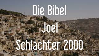 Joel  Die Bibel als Hörbuch Schlachter 2000 [upl. by Eseenaj749]