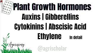 Plant Growth Hormones  Auxins  Gibberellins  Cytokinins  Abscisic acid  Ethylene  Agronomy [upl. by Adrell]