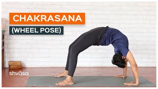 Chakrasana for Beginners  How to Do Chakrasana  Chakrasana Step by Step  Wheel Pose for Beginners [upl. by Redle]