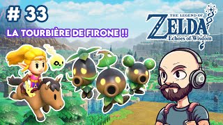 LA TOURBIÈRE DE FIRONE   The Legend of Zelda  Echoes of Wisdom 33 [upl. by Calder13]