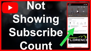 YouTube Subscriber Count Not Showing  FIX [upl. by Ahseen952]