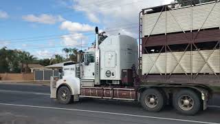 Kenworth T909 Road Train Jake Brake [upl. by Lanti]