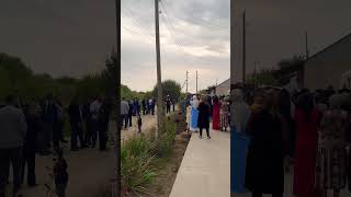 Tòylar muborak sadosi har bir honadonda yangrasin🤲🤲🤲 video wedding svadba music live love [upl. by Nealon]