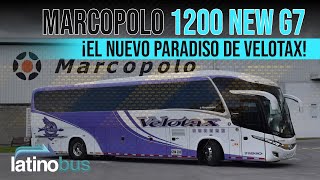 Entrega Velotax  Nuevo Marcopolo Paradiso 1200 New G7  Scania K400 [upl. by Enialahs801]