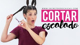 Cómo cortar el cabello escalado con 4 coletas  Hazlo tu misma [upl. by Anavlys]