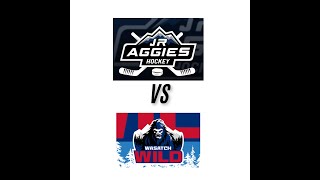 16U Aggies vs Wasatch Wild [upl. by Ivanah]