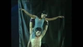 Adagio from Khachaturians Spartacus a dance supercut [upl. by Ayhtin]