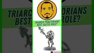 The Ingame Role of Necron Triarch Praetorians [upl. by Rihsab]