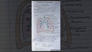 Anatomy and physiology Mechanism of Respiration Notes on GNM Students Trending shorts [upl. by Urian879]