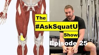 How to Fix Quad amp Patellar Tendon Pain AskSquatU Show Ep 25 [upl. by Silvie]