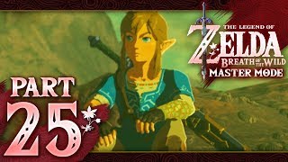 The Legend of Zelda Breath of the Wild Master Mode  Part 25  Lost [upl. by Steffin]