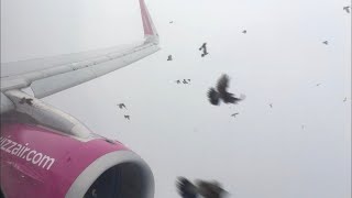 BIRDSTRIKE Wizzair  A321  Eindhoven  Budapest  full flight video [upl. by Addie]