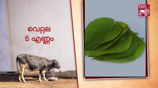 Ethnoveterinary formulation for Fever Malayalam [upl. by Ahseki]