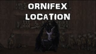 Dark Souls 2 Ornifex Location Boss Weapon NPC [upl. by Esinert]