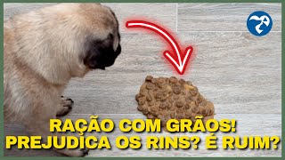 ABSOLUTAMENTE Tudo Sobre a Ração farmina NampD ancestral grain Frango e Romã Mini Cães Filhotes [upl. by Boykins]