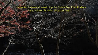 Paganini  Centone di sonate Op 64 Sonata No 13 in E Major [upl. by Ettenot]