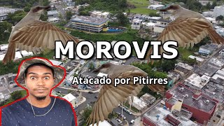 Visitando El Pueblo De Morovis Puerto Rico Ciudad De Titanes [upl. by Oiramed243]