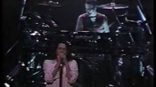 INXS  18  Disappear  Buenos Aires  22nd January 1991 [upl. by Zeralda]