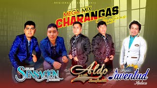 Juventud Mixteco Ft Organo Sensacion Oaxaqueña  Aldo y su Estilo InconfundibleMix De Charangas ♥️ [upl. by Anaz]