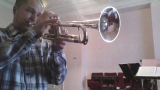 quotMichellequot by The Beatles Trumpet cover [upl. by Yehsa743]