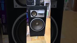 Loa pioneer bass 30 F9000 [upl. by Asselim]