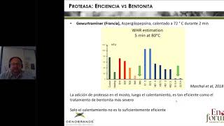 Aplicación de proteasas en la vinificación para lograr la estabilidad proteica del vinoR Schneider [upl. by Dietsche408]