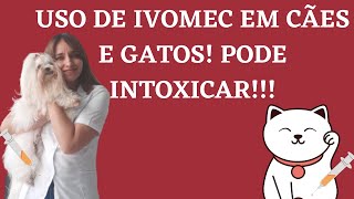 Ivermectina ou Ivomec em cães e gatos 7 erros ao usar esse medicamento CUIDADO [upl. by Ahsieyk]