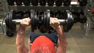 Lee Penman  Trains Chest at Synergy NYC [upl. by Nowad305]